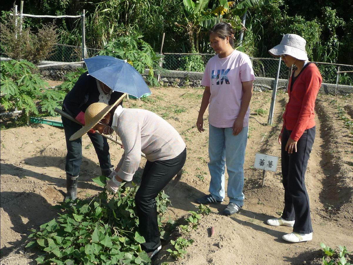 20101205 The Organic Farm19